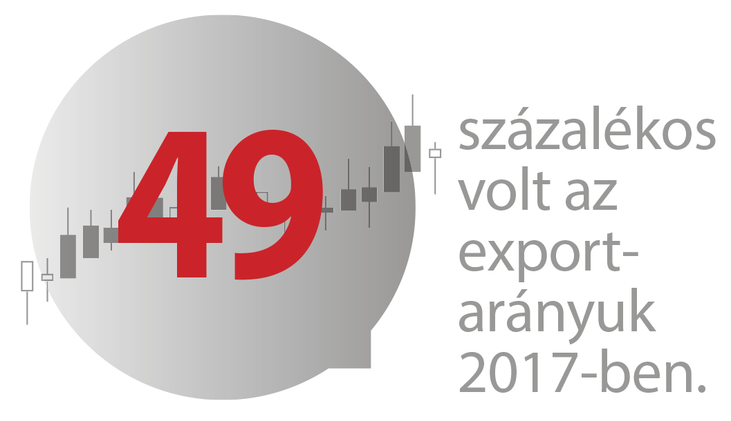 beflex-infograf